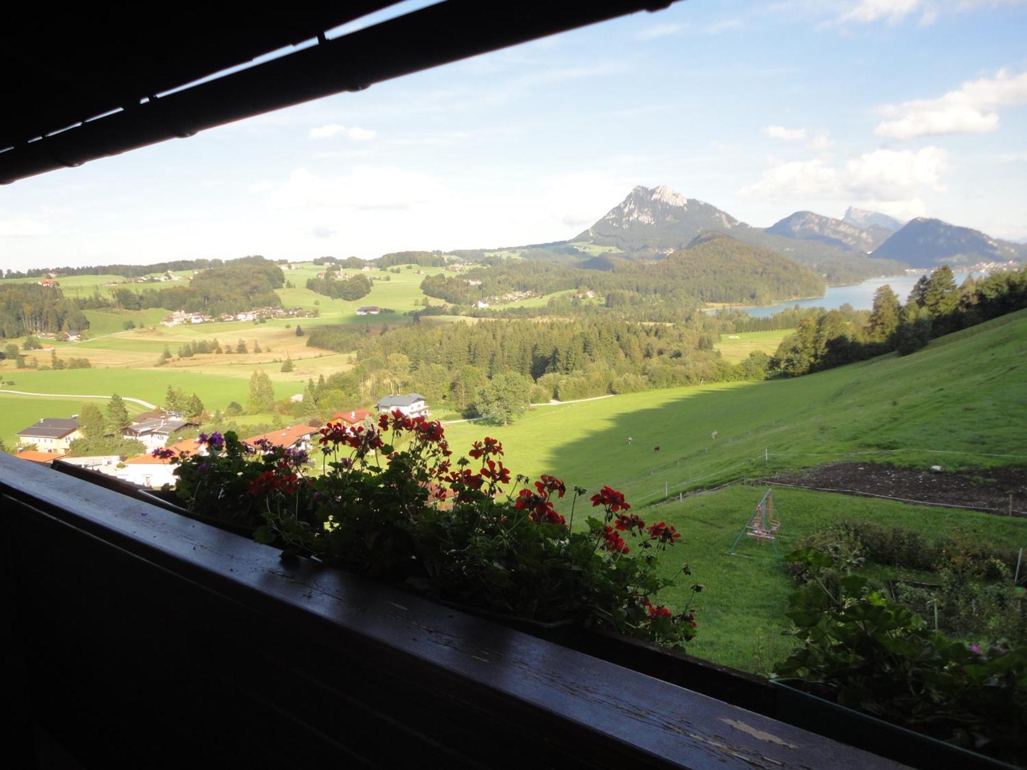 Bauernhof Strumegg Villa Hof bei Salzburg Exteriör bild